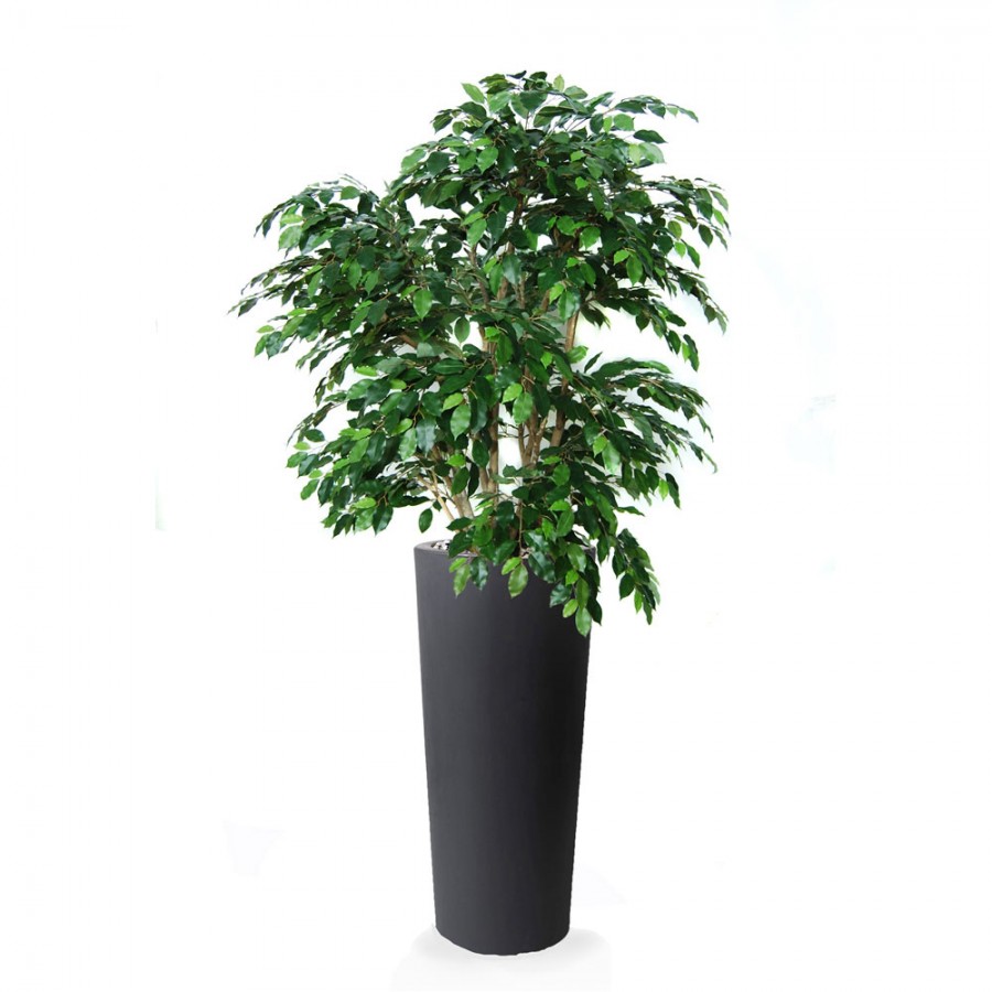 Planta semi-artificiala Ila, Ficus Exotica Lux Green - 210 cm